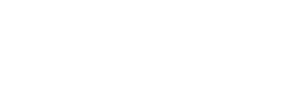 Snomad Logo